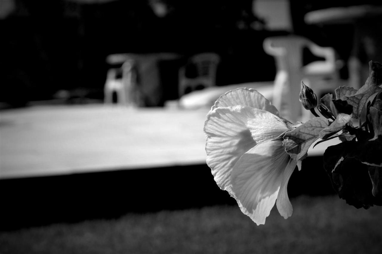 Inn Dos Hibiscos Beberibe